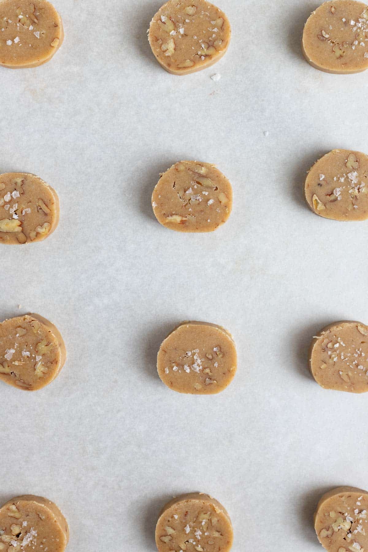 The cookie dough log cut into 1/2-inch slices. 12 slices are arranged on a baking sheet lined with parchment paper