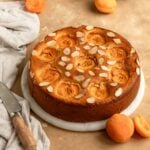 The whole apricot cake on white cake board with cutting knife in the background. The cake is golden brown and topped with apricot halves and sliced almonds