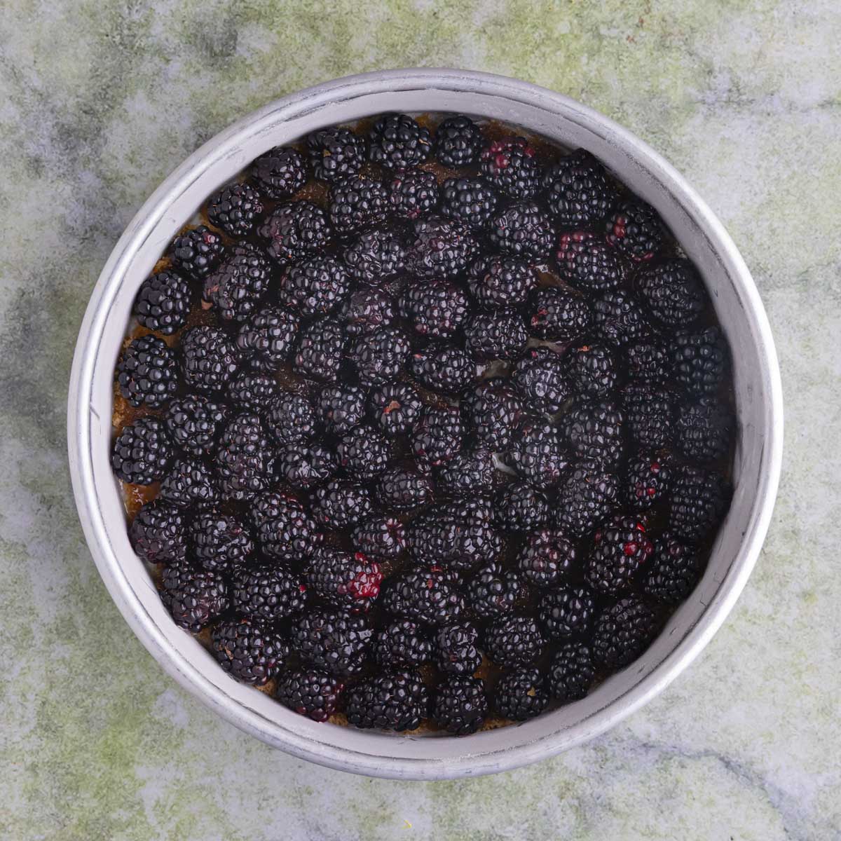 A 9-inch cake pan filled with fresh blackberries. The berries are arranged in a circular pattern