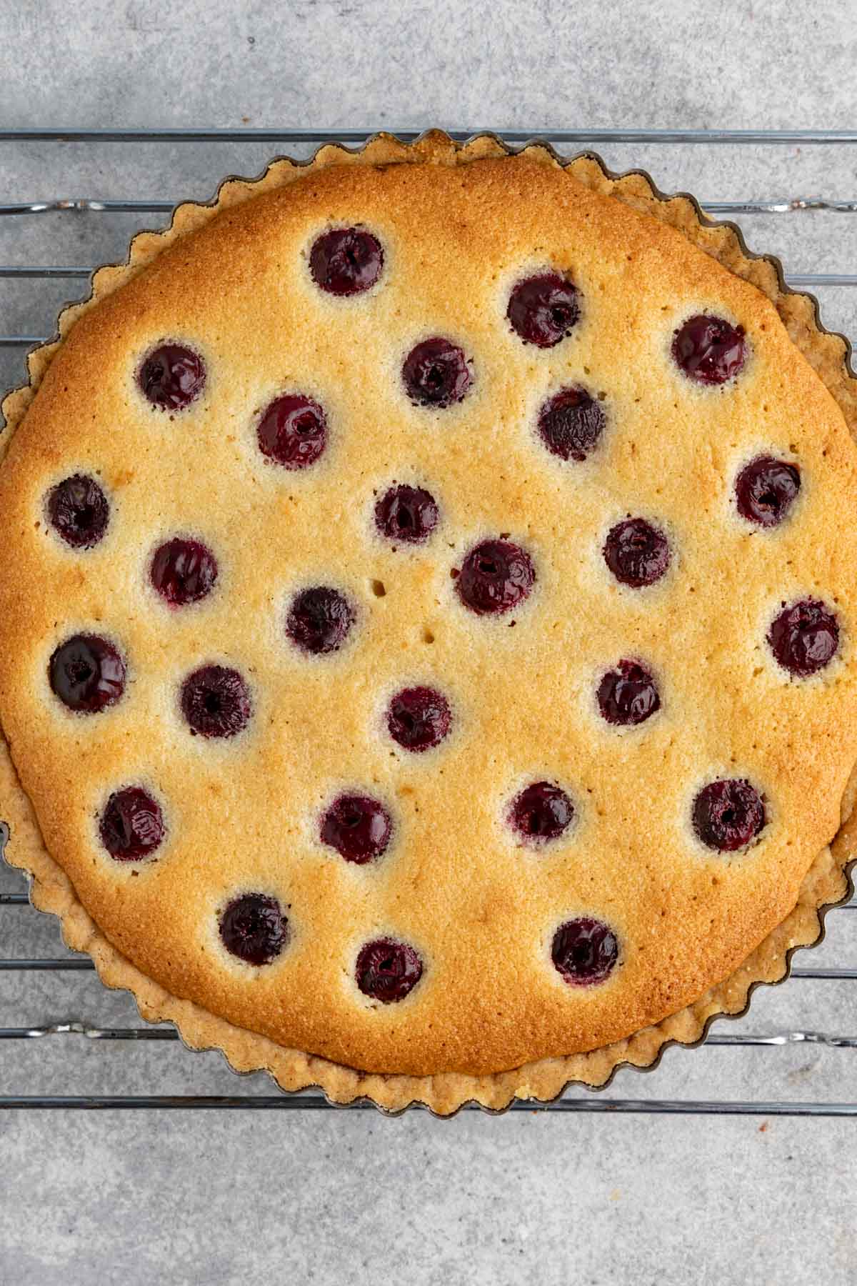 A baked cherry frangipane tart.  The frangipane is golden brown and the top is dotted with about 25 cherries.