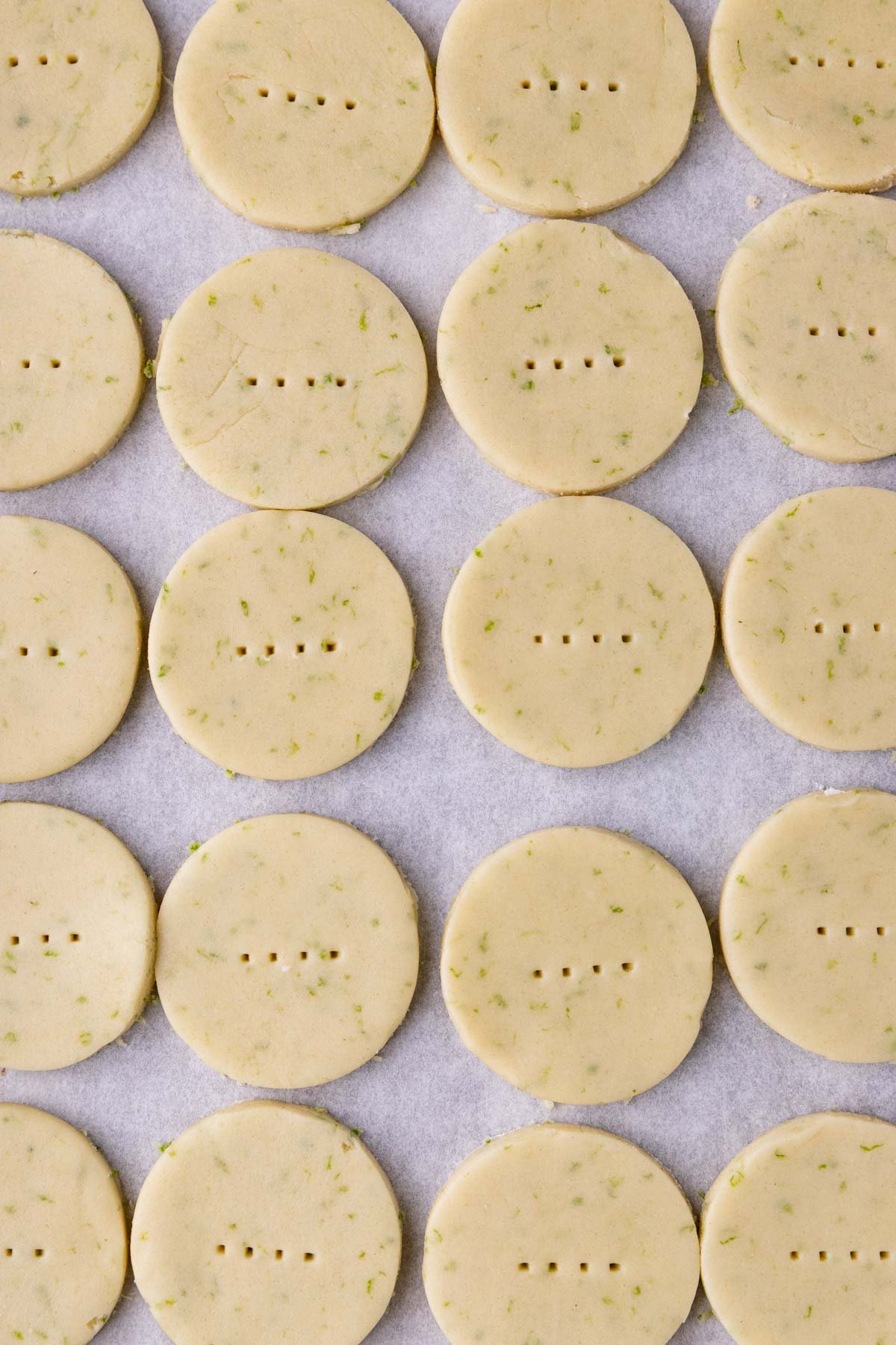 The unbaked cookies arranged in rows on a parchment lined baking tray