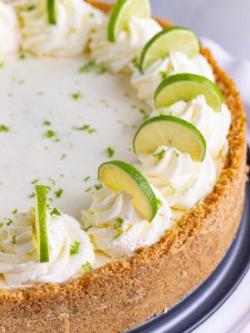 Key lime cheesecake with a graham cracker crust. The top of the cheesecake is decorated with piped whipped cream and half slices of key lime on top of the whipped cream