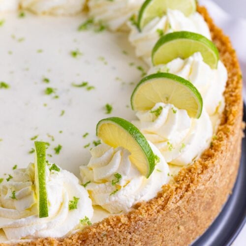 Key lime cheesecake with a graham cracker crust. The top of the cheesecake is decorated with piped whipped cream and half slices of key lime on top of the whipped cream