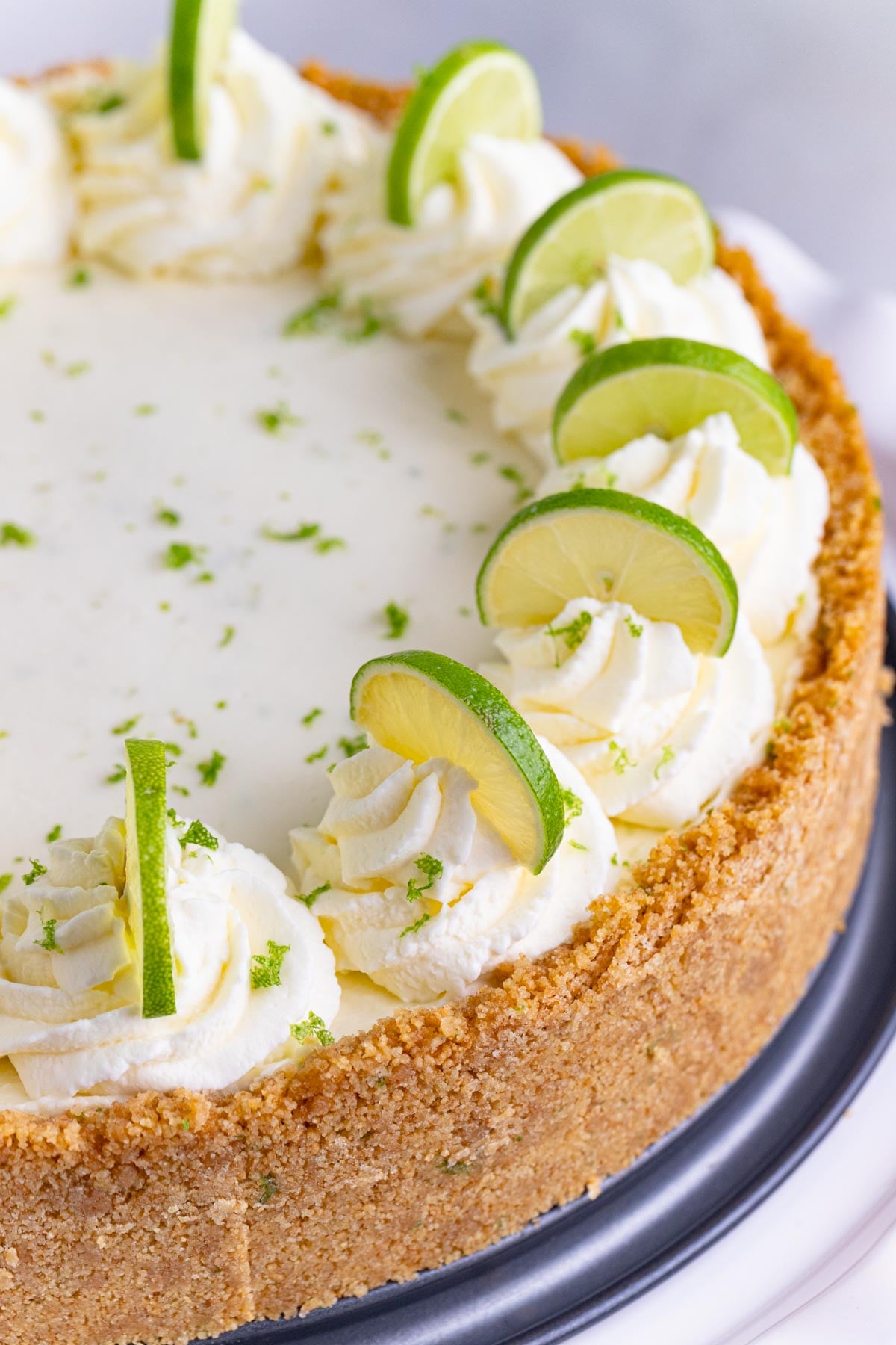 Key lime cheesecake with a graham cracker crust. The top of the cheesecake is decorated with piped whipped cream and half slices of key lime on top of the whipped cream